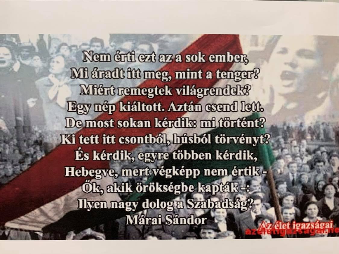 Október 23: Elég volt!