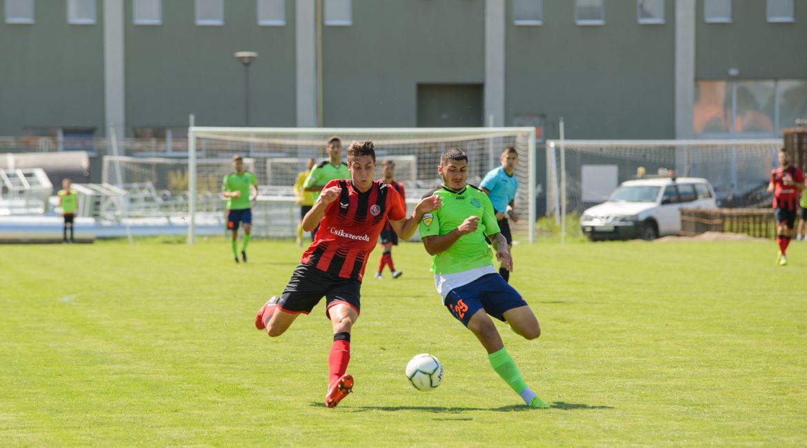 Edzőnek állt Hodgyai László